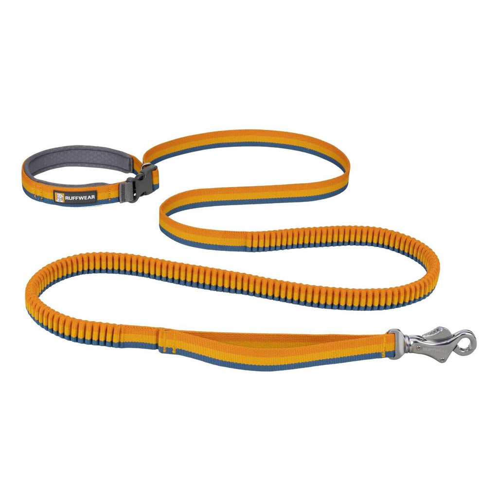 Leash T1007