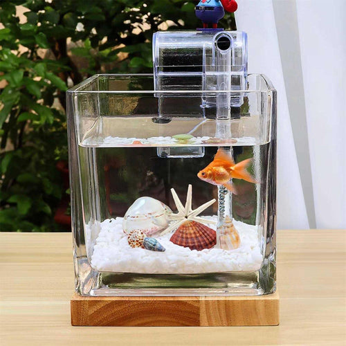 0.81 Gallon Glass Fish Tank Kit O7338