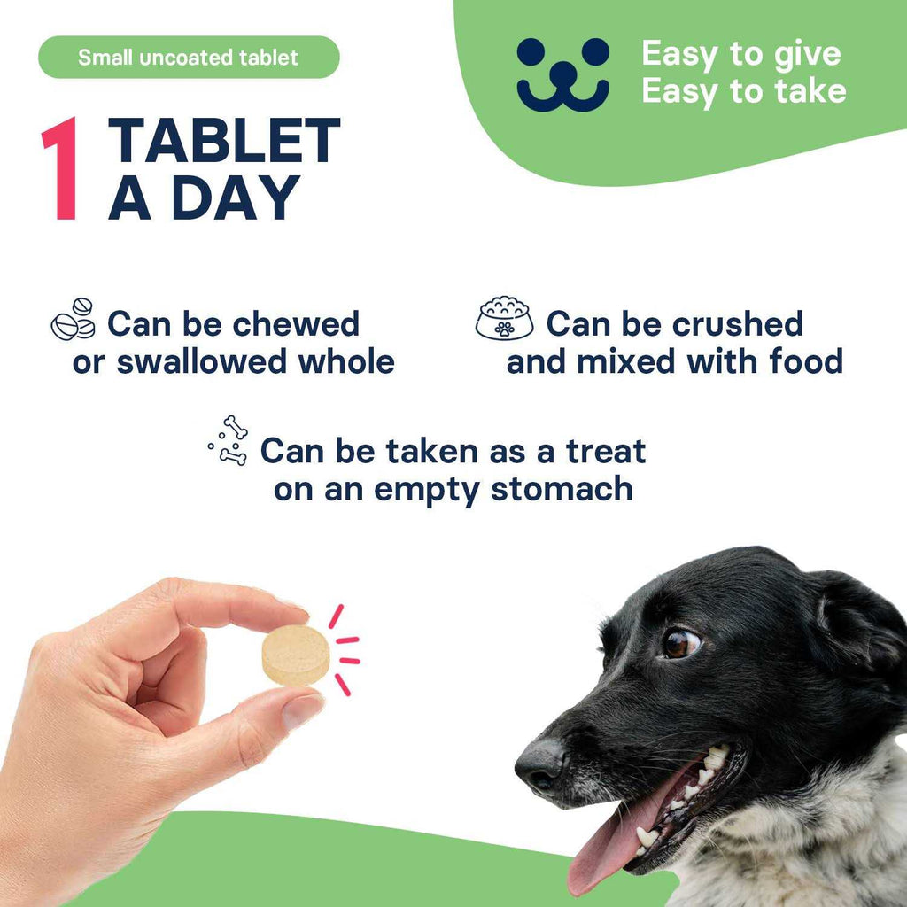 Dogs and 30 tablets Pet Supplies C56479