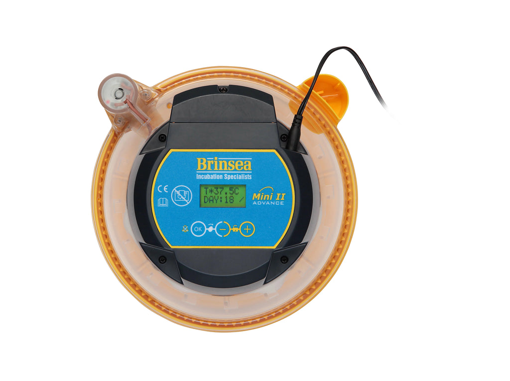 7 Egg Incubator Z924