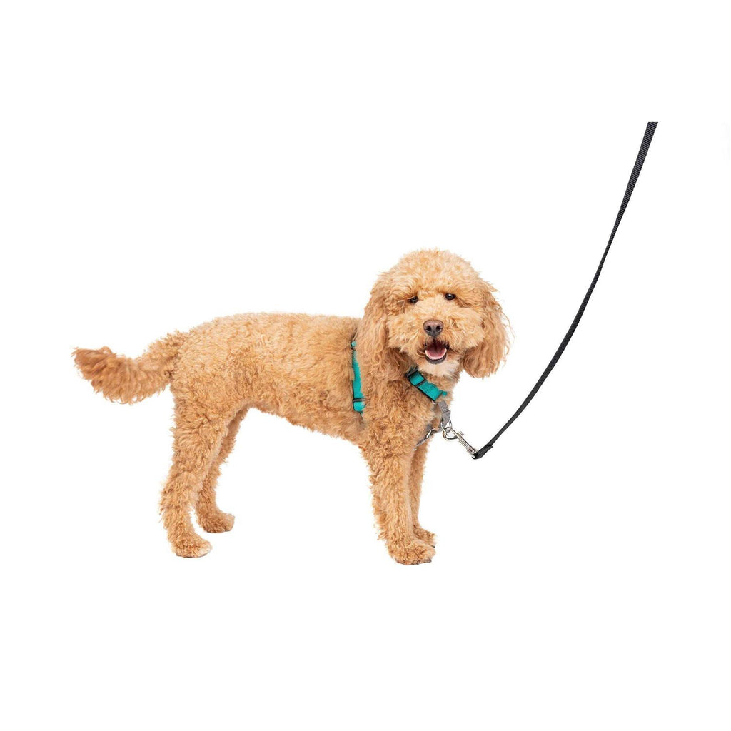 3 in 1 Harness B757