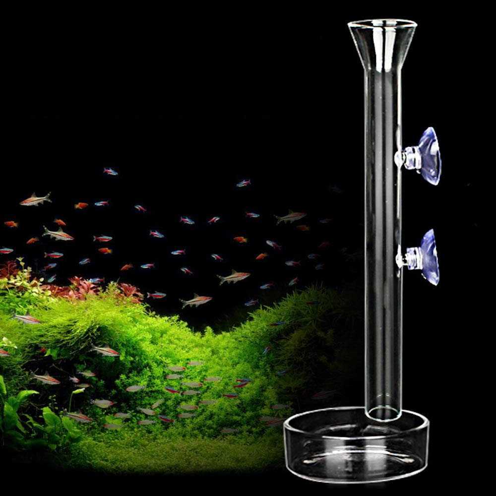 Aquarium Shrimp Feeding Tube and Dish Clear Crystal Glass F758
