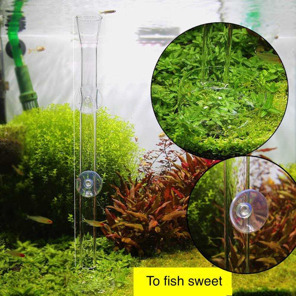 Aquarium Shrimp Feeding Tube and Dish Clear Crystal Glass F758