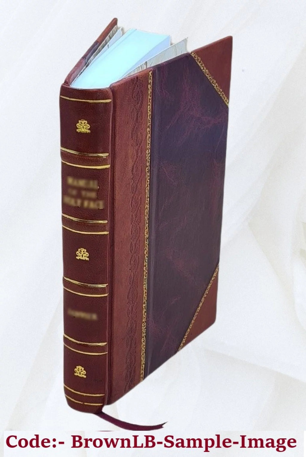 Christianity Gospel Leather Bound K923514