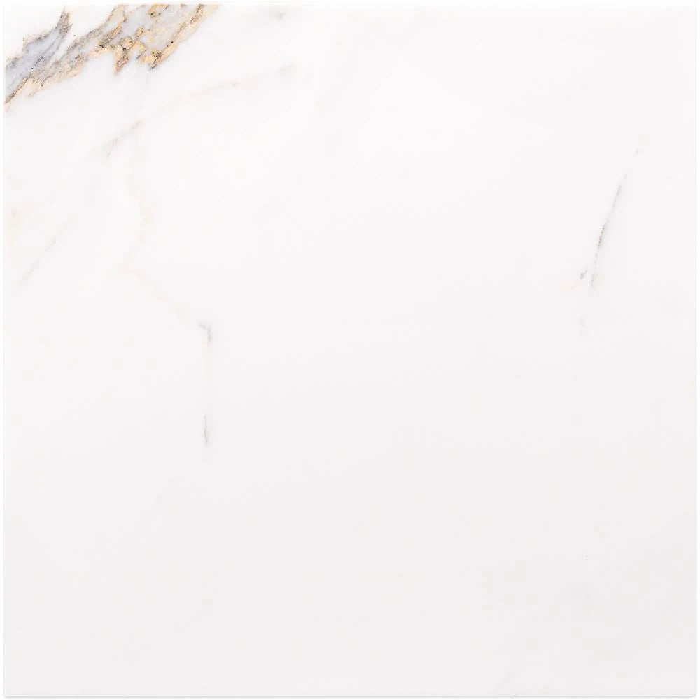 12x12 Polished Marble Tile N20167
