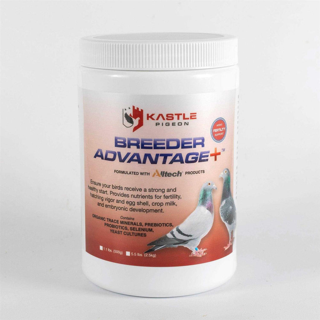 500 g Pigeon Breeder W557638