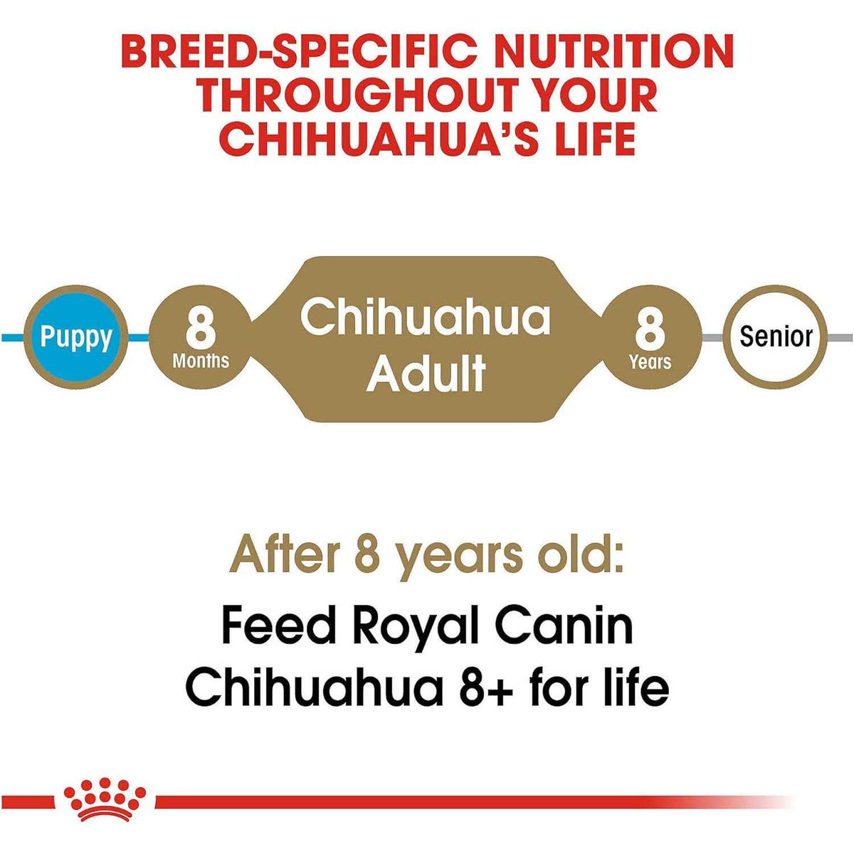 Chihuahua Adult Dry Dog Food H4957