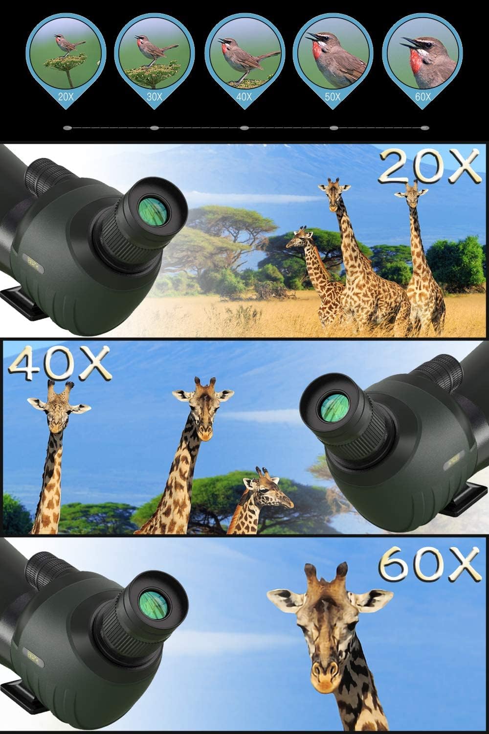 20-60x80 HD Spotting Scope with Tripod M634