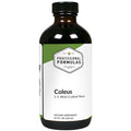 Coleus 8.4 oz Y599
