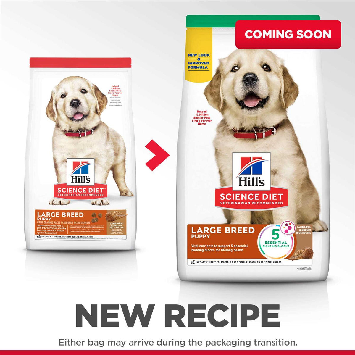 Chicken Recipe Dry Dog Food Q9686