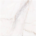 12x12 Polished Marble Tile N20167