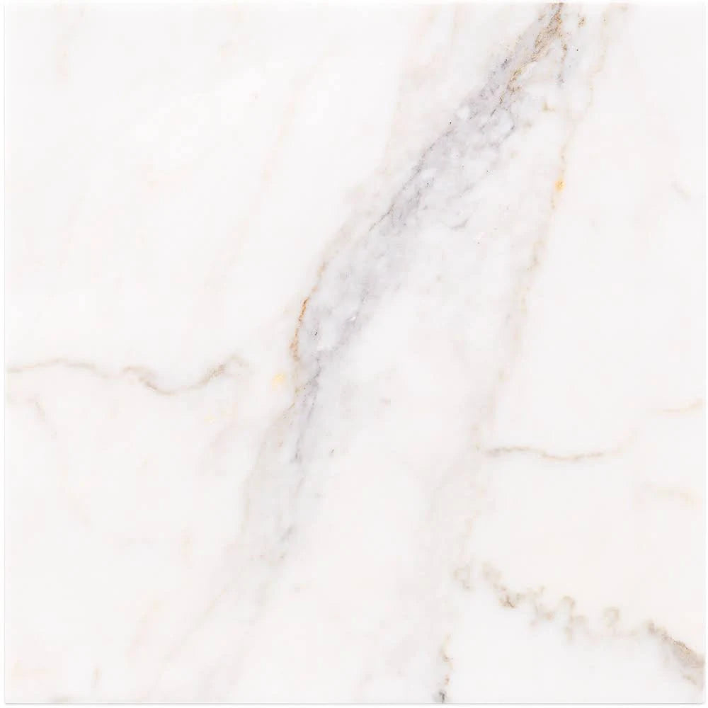 12x12 Polished Marble Tile N20167