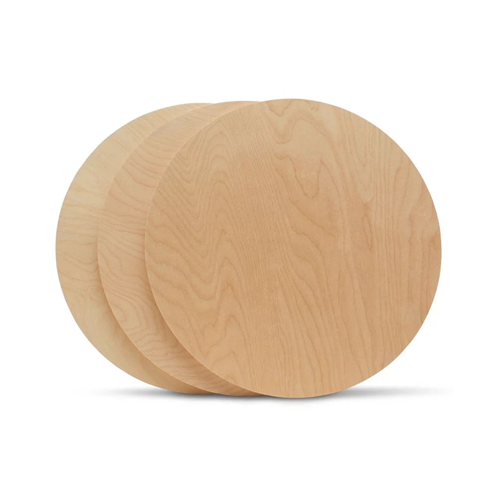 14 inch Unfinished Birch Wood Circles Pack of 10 Z960