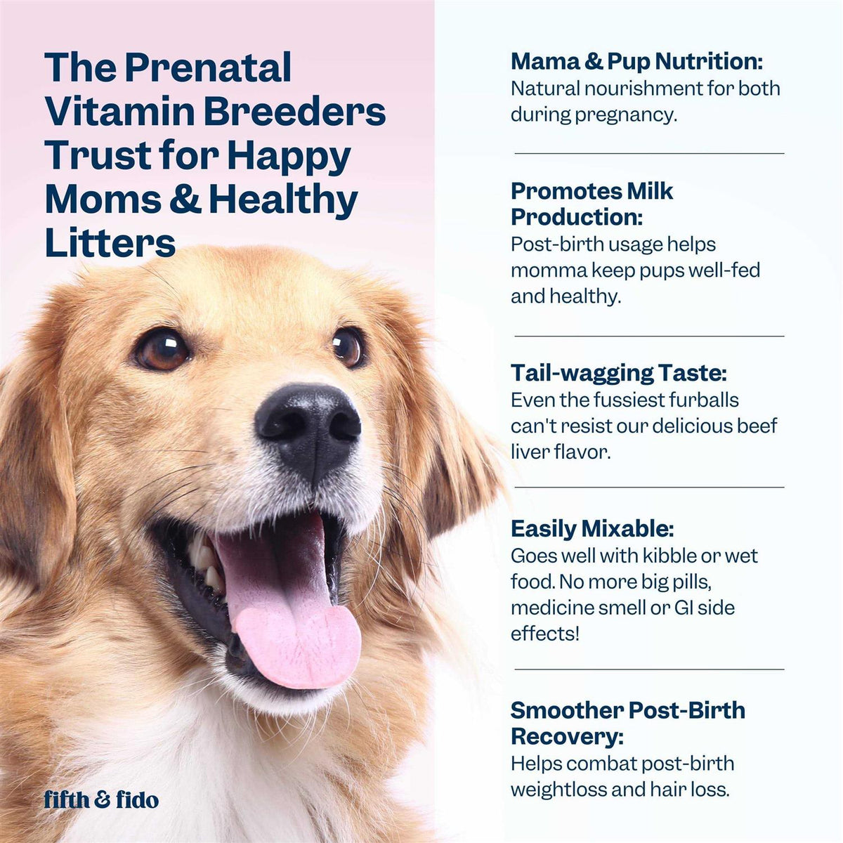 Dog Prenatal Vitamins with Iron, D3 and Folic Acid W4112