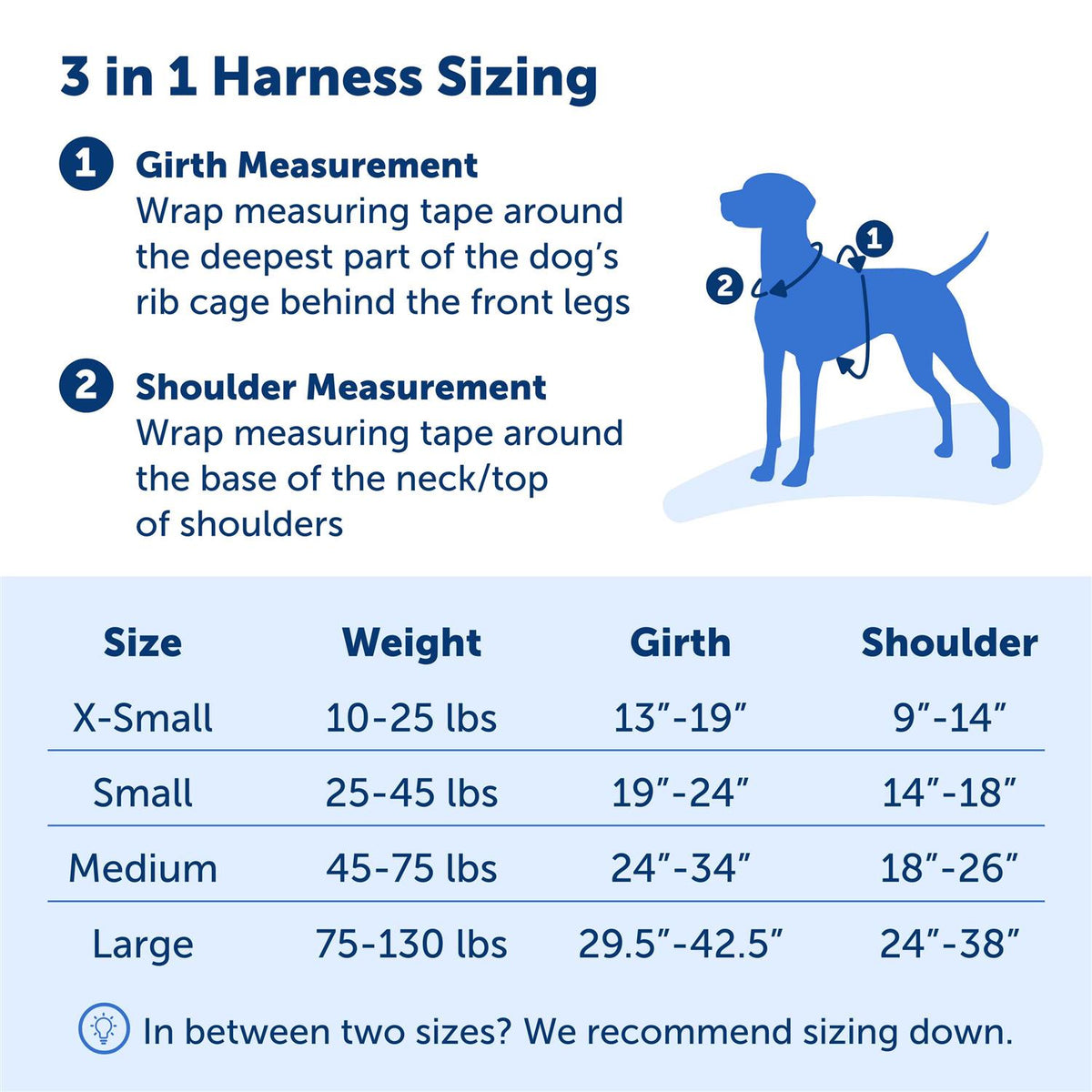 3 in 1 Harness B757