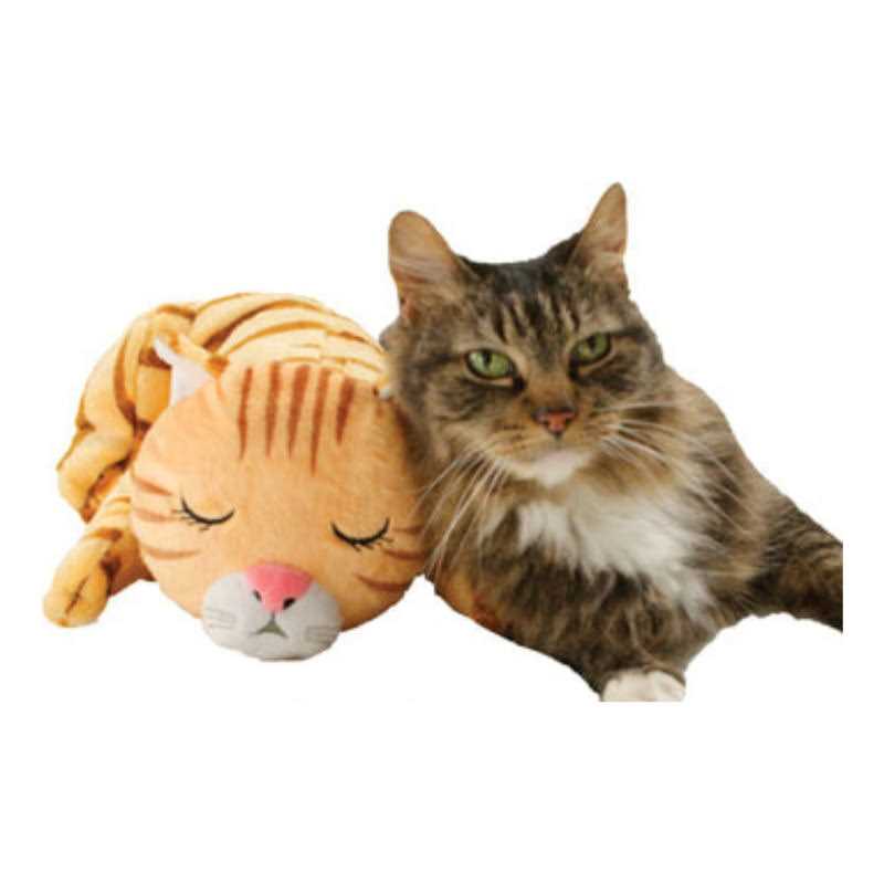 Cat Toy Q277172