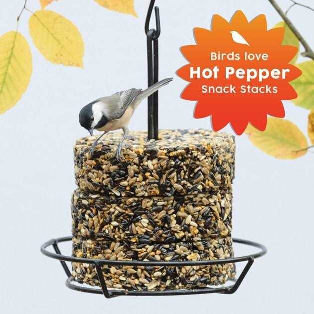 Hot Pepper Snack Stack Wild Bird Food F700