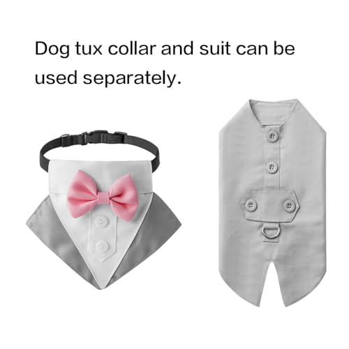 Dog Collar with Bow Tie and Adjustable Buckle Q931