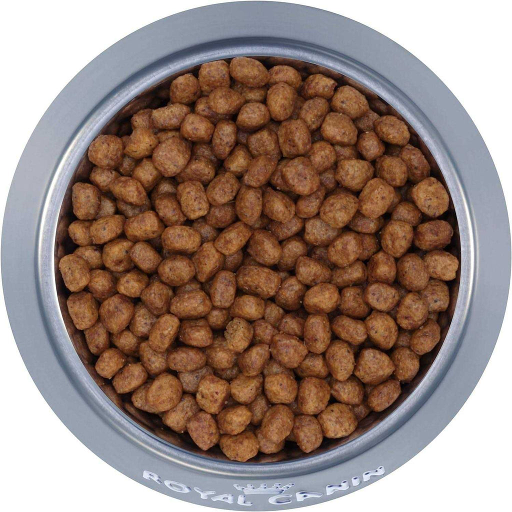 Chihuahua Adult Dry Dog Food H4957