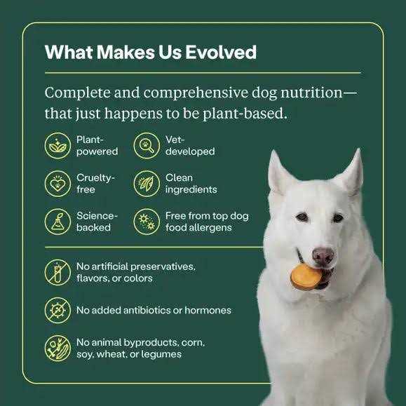 Dry Dog Food G535625