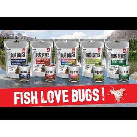 Bug Bites Tropical Fish Small Granules L89994