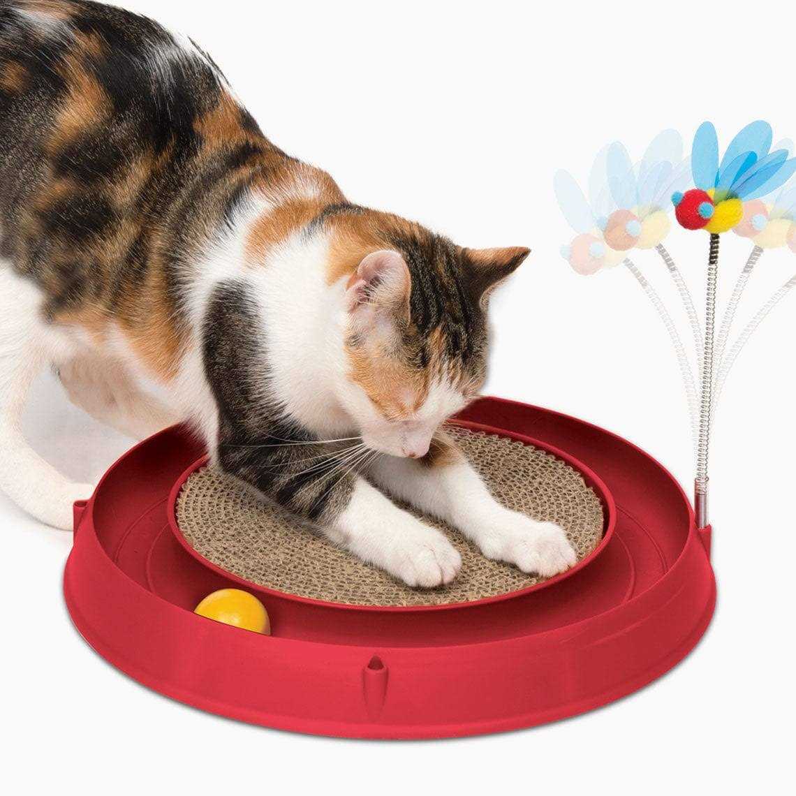 Circuit Ball Toy with Scratch Pad P5349