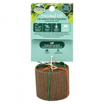 Enriched Life Celebration Cupcake L17742