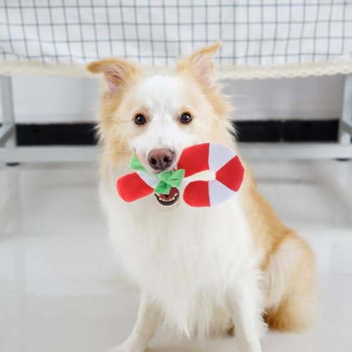 Squeaky Christmas Candy Cane Plush Dog Toy F821673