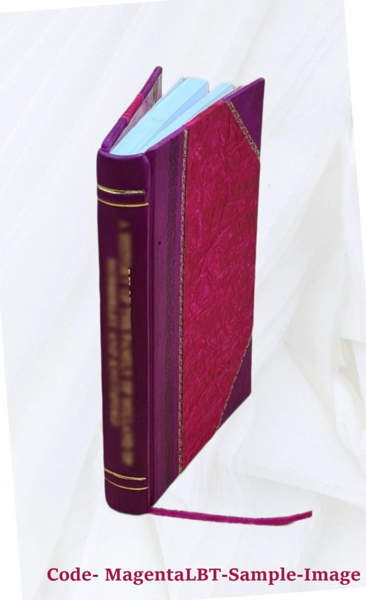 1569 Leather Bound N28095
