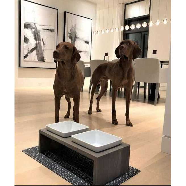 Double Dog Feeder J37756