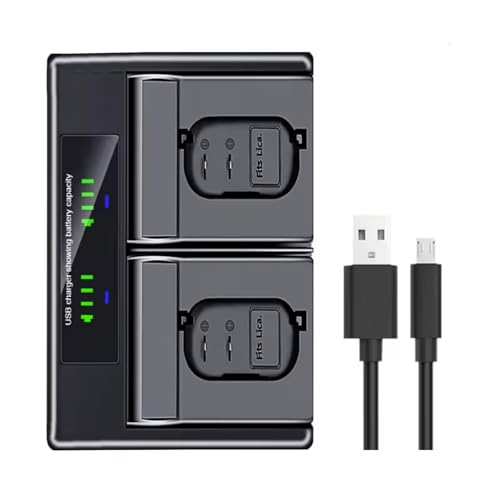 USB Dual Travel Charger P3545