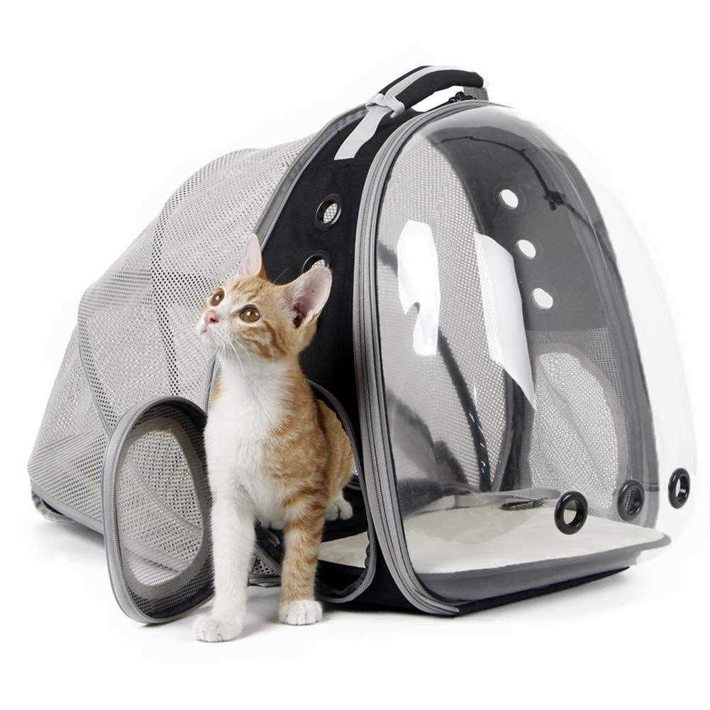 Expandable Cat Backpack Carrier up to 20 lbs D529084