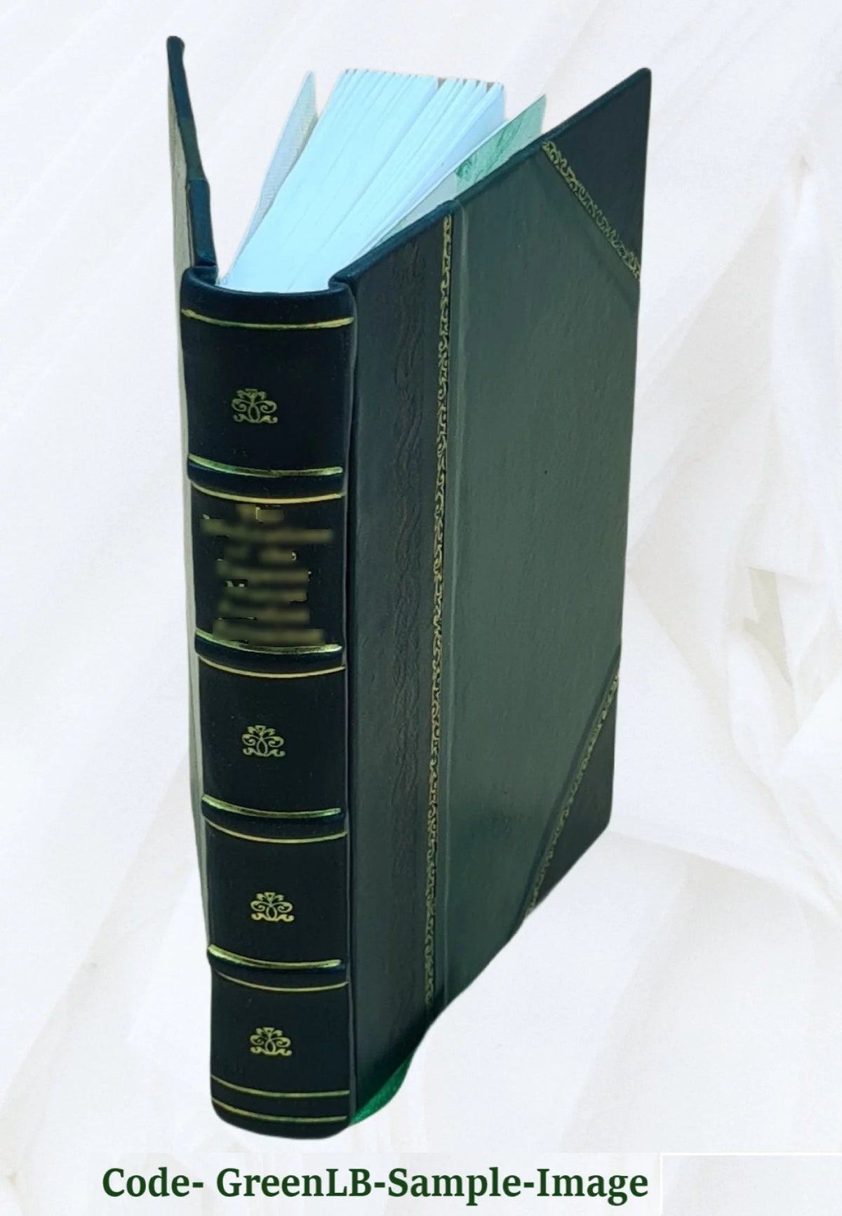 Christianity Gospel Leather Bound K923514